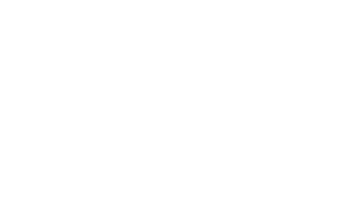 Frisco Guns
